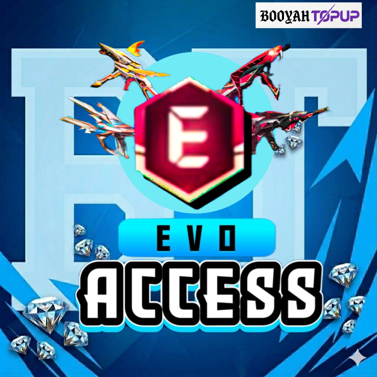 EVO ACCESS